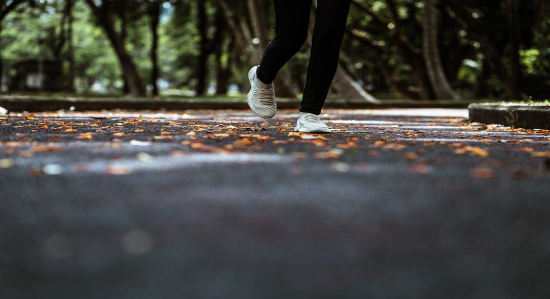   A Walk with Nature | Photo from Pexels