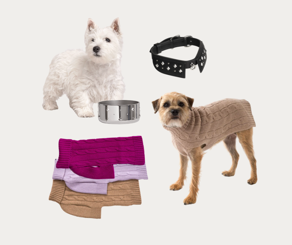 an assortment of gifts for dogs
