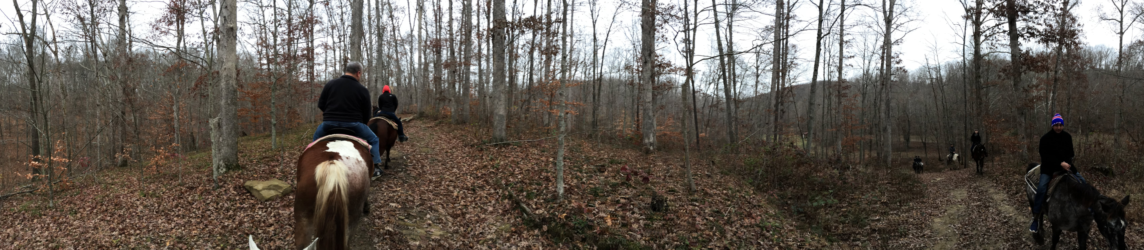Panoramic View of the Trail