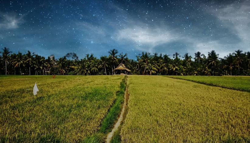 things to do in ubud hiking trails