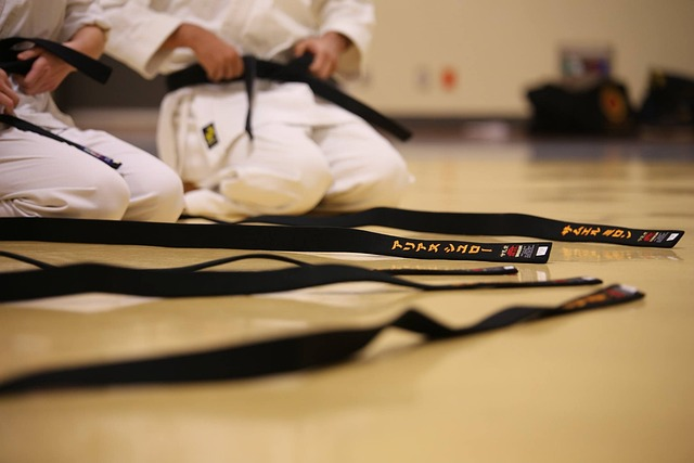 black belt, karate belts, several Black Belts stretched out on the floor.