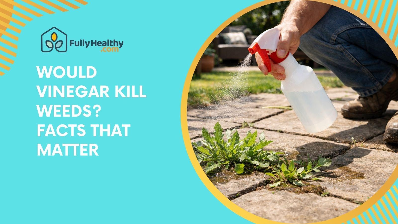 Would Vinegar Kill Weeds? Facts That Matter