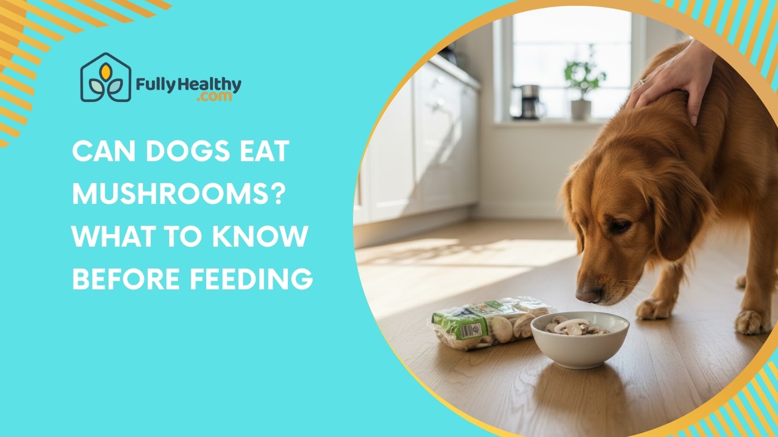 Can Dogs Eat Mushrooms? What to Know Before Feeding