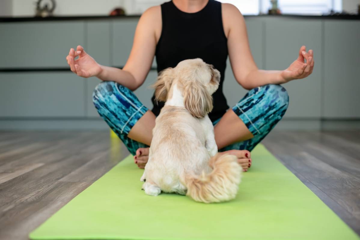 A woman in yoga attire sits cross-legged on a mat with her dog facing her, showcasing How to Use Meditation for Dogs in a home practice session