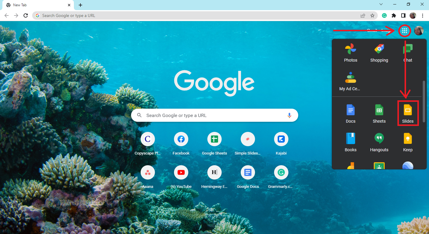 Open your Google Chrome web browser and click Google Slides