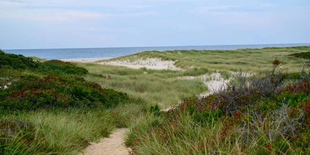 Fire Island Weekend Getaways