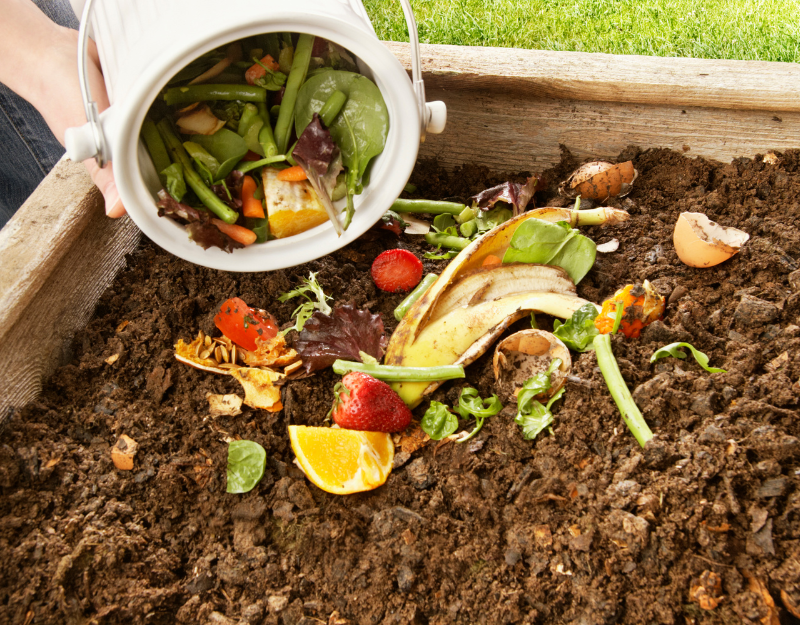 Composting for beginners