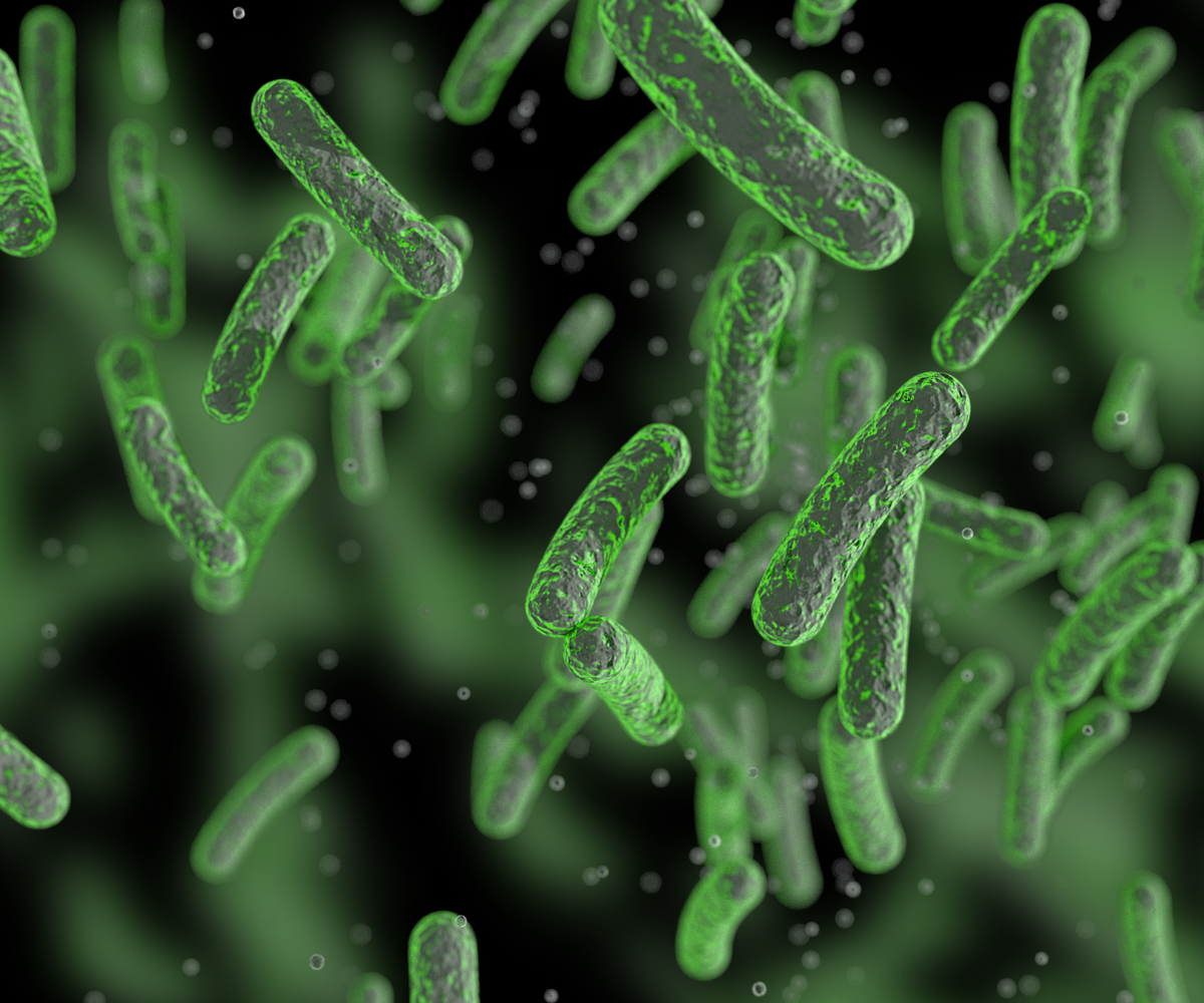 soil microbes