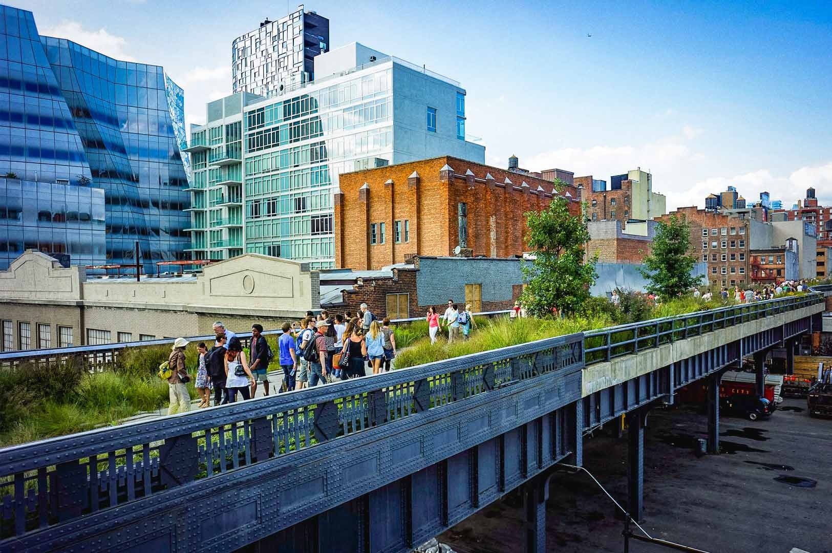 Elevated view of the High Line, a repurposed railway viaduct transformed into a linear park with greenery and walking paths. People stroll along the walkway surrounded by grasses and small trees, with modern glass buildings and older brick structures rising around it under a bright blue sky.