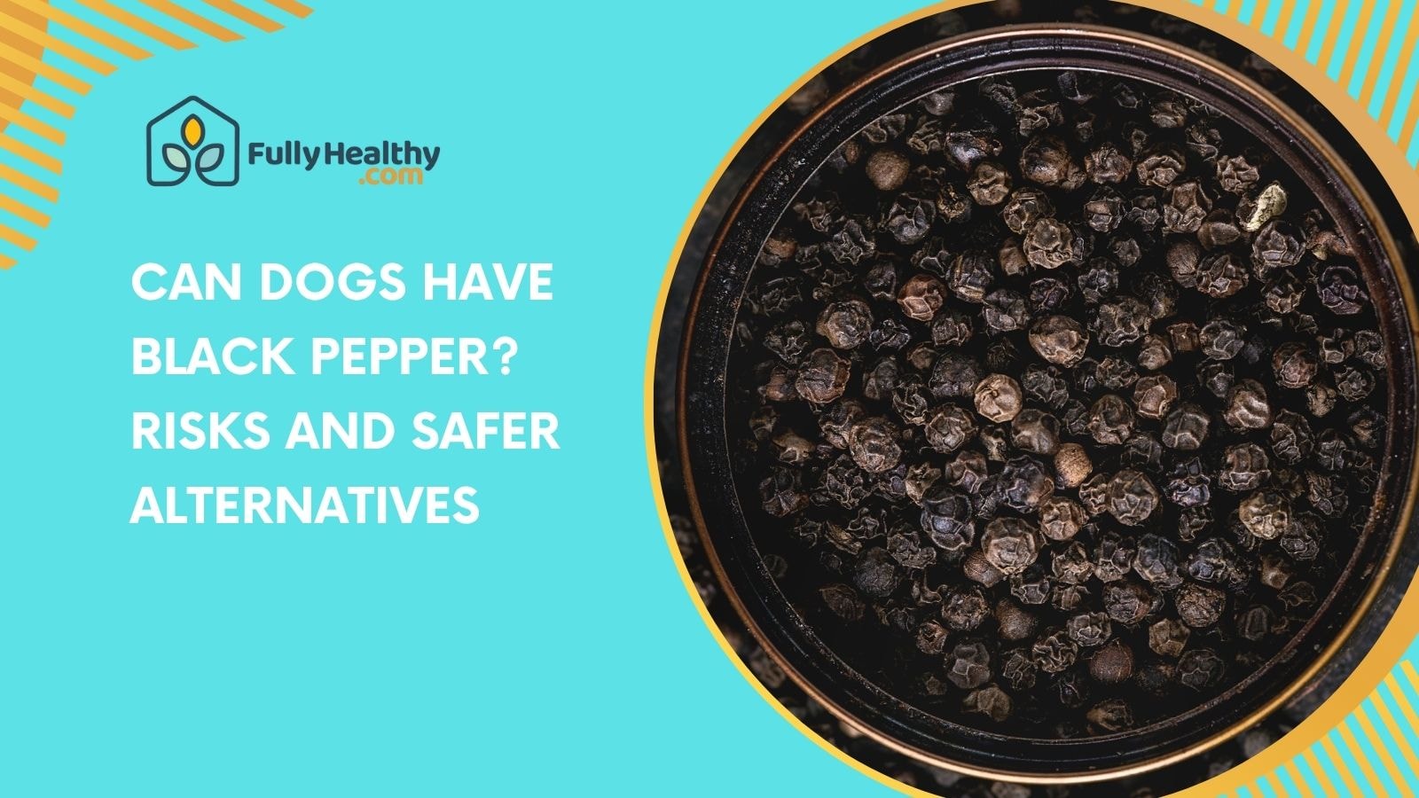 Can Dogs Have Black Pepper? Risks and Safer Alternatives