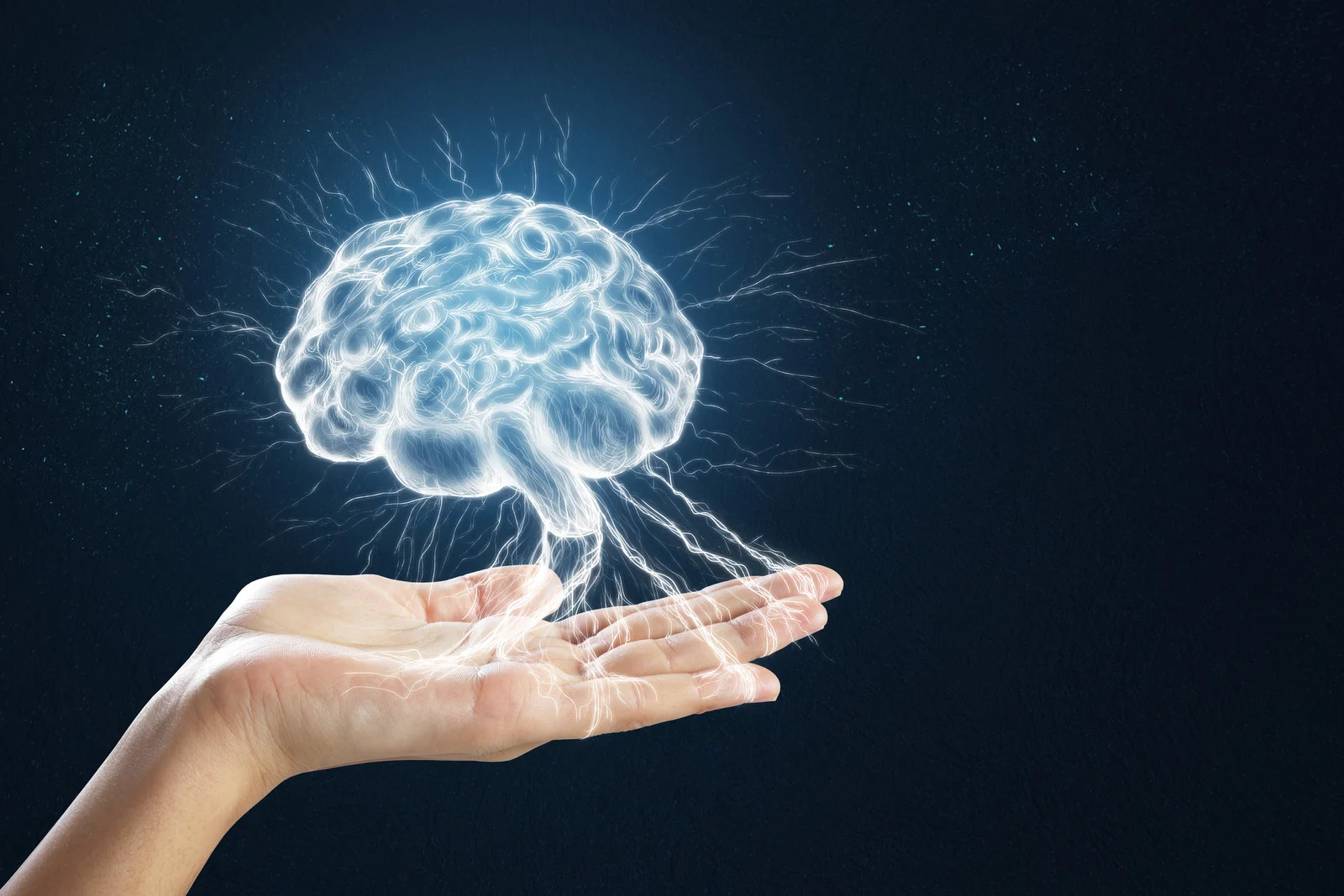 Brain Diagram