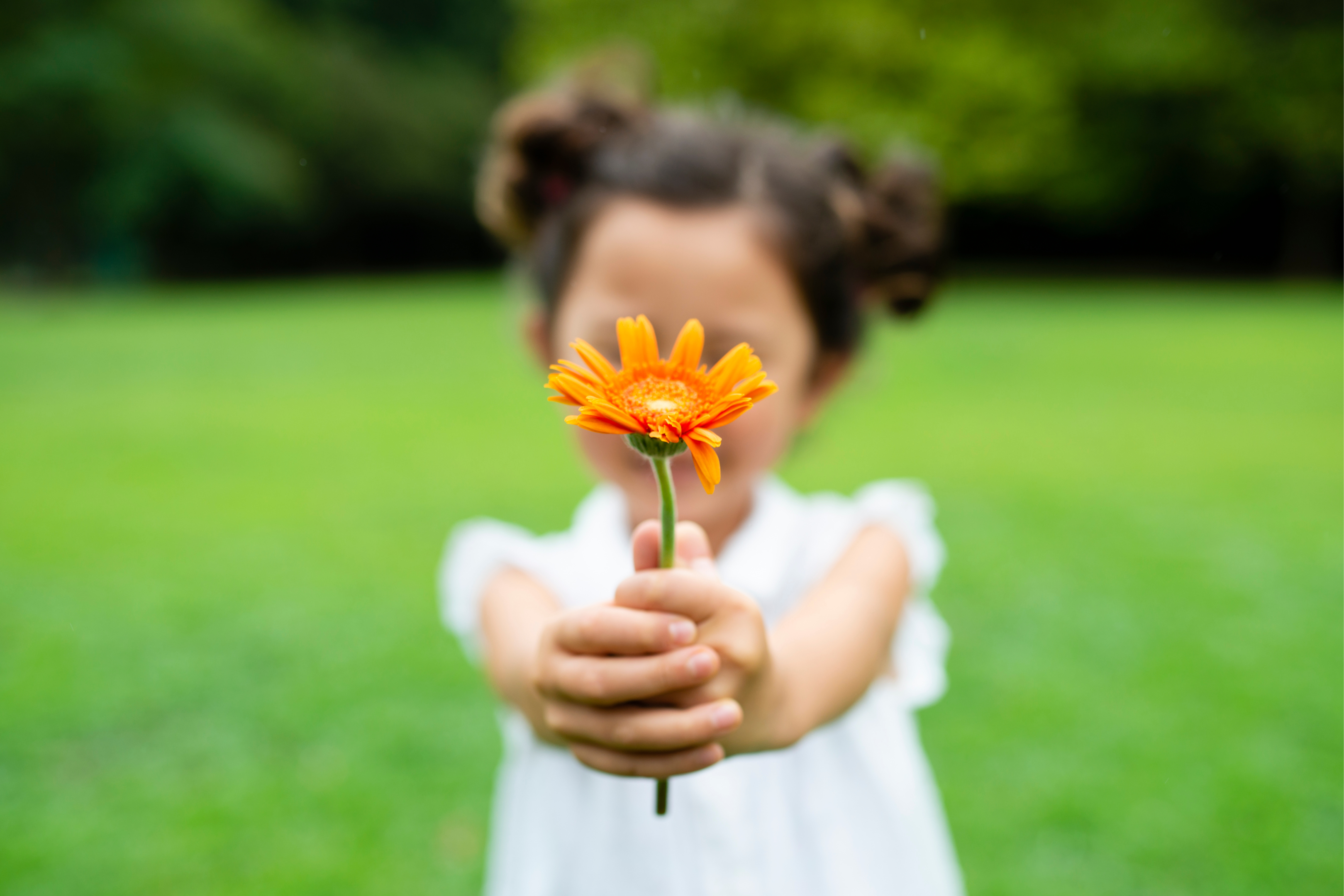 girl holding orange flower