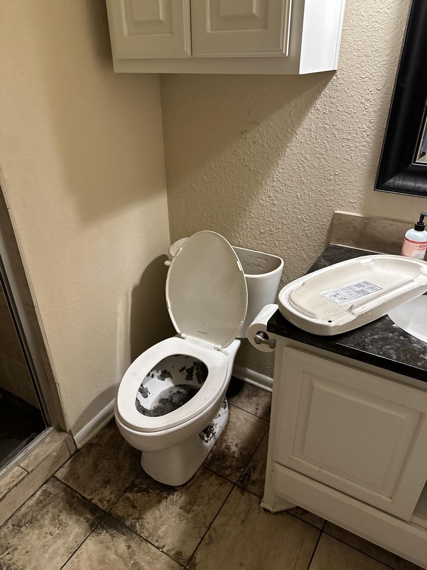Sewage backup in Austin, TX 1