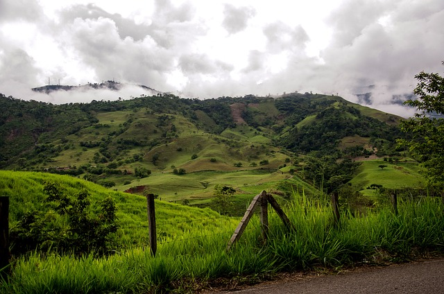 colombia, coffee zone, mountains