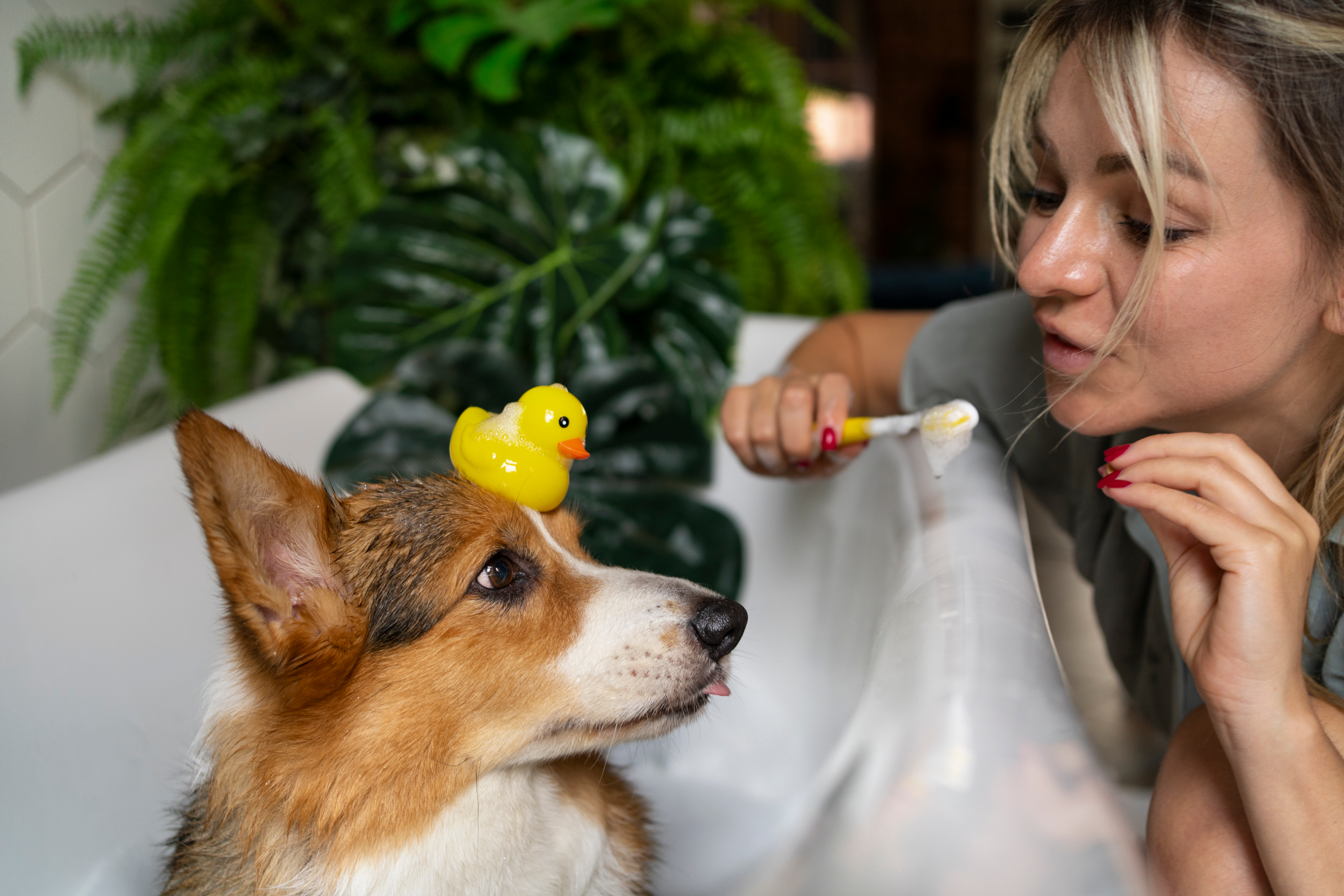 pet friendly toothpaste, brush