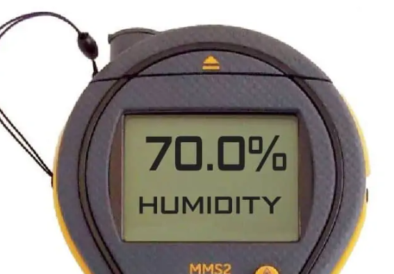 Humidity causes mold