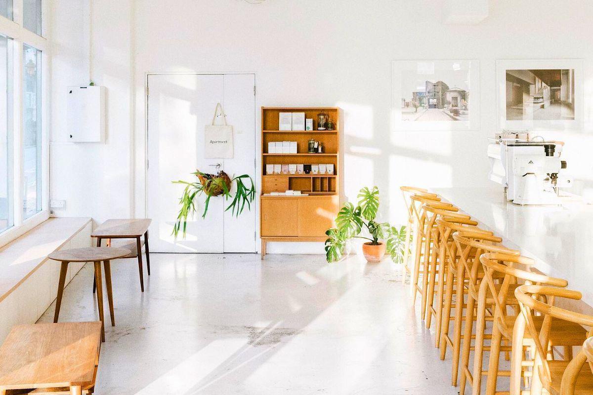 This bright, minimalist cafe interior features white walls, light-colored floors, and warm wooden furniture bathed in soft natural sunlight. A row of light wood barstools lines a sleek white counter, while a simple wooden bookshelf and potted plants add a touch of organic warmth to the space.