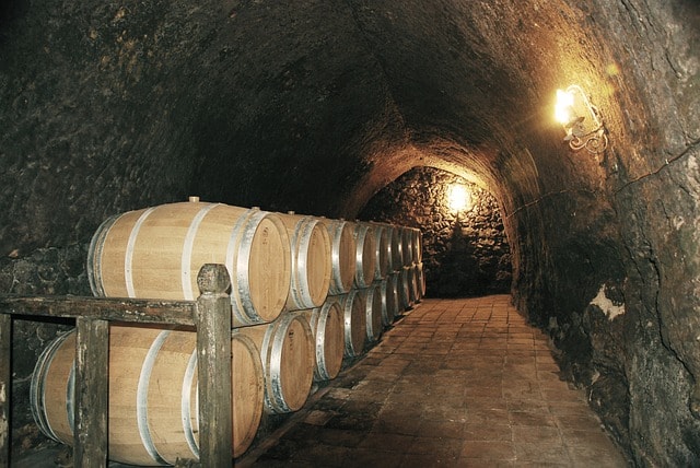 winery, came, cave