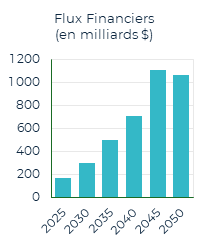 Flux financiers (en milliards $)