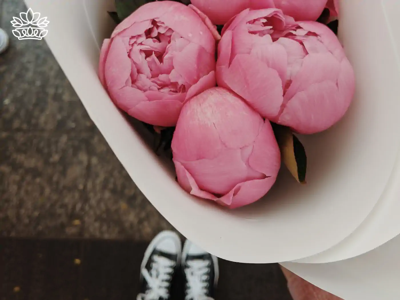 A hand holding a bouquet of tightly packed pink peonies. Fabulous Flowers and Gifts - Peonies Collection