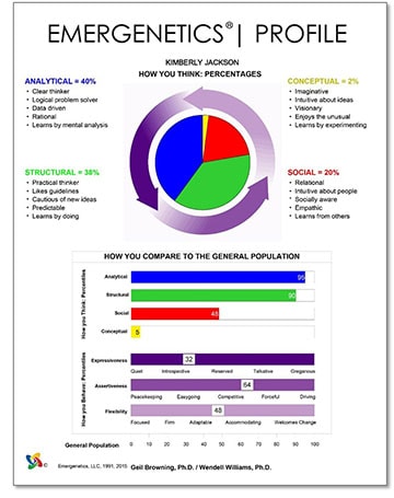 Sample Profile image, revealing key components of the report