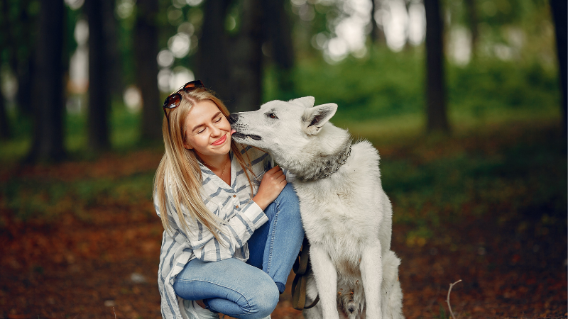 3a11edcd a61a 45f9 a7f4 41e62ae6efc1 Investigating the Canine Quirk: Why Does My Dog Lick Everything?