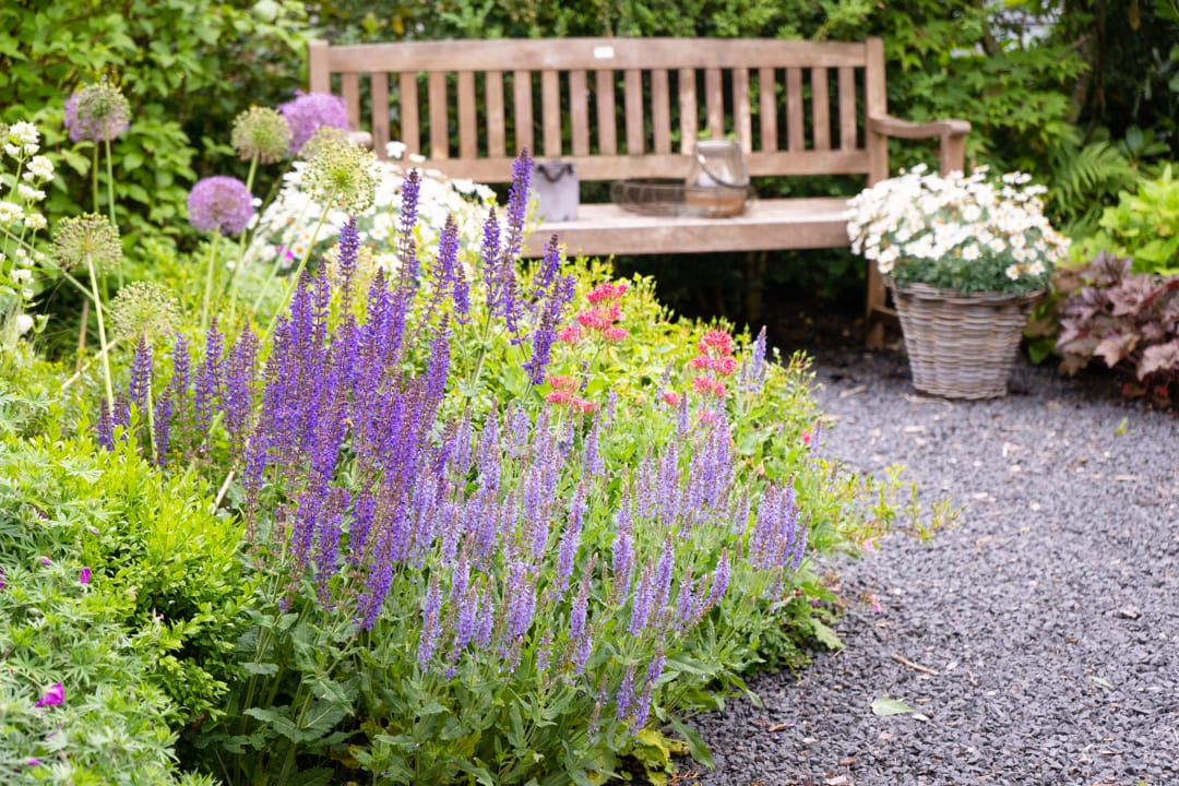 Franse tuin met een houten bank