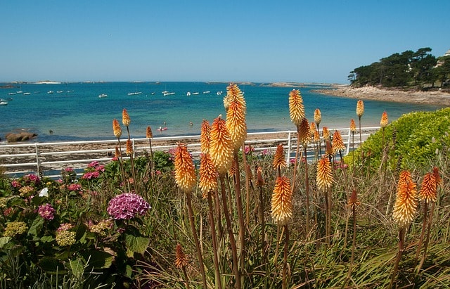 Top 10 Best Destinations for Brittany Family Holidays