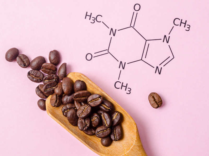 best weight loss supplements