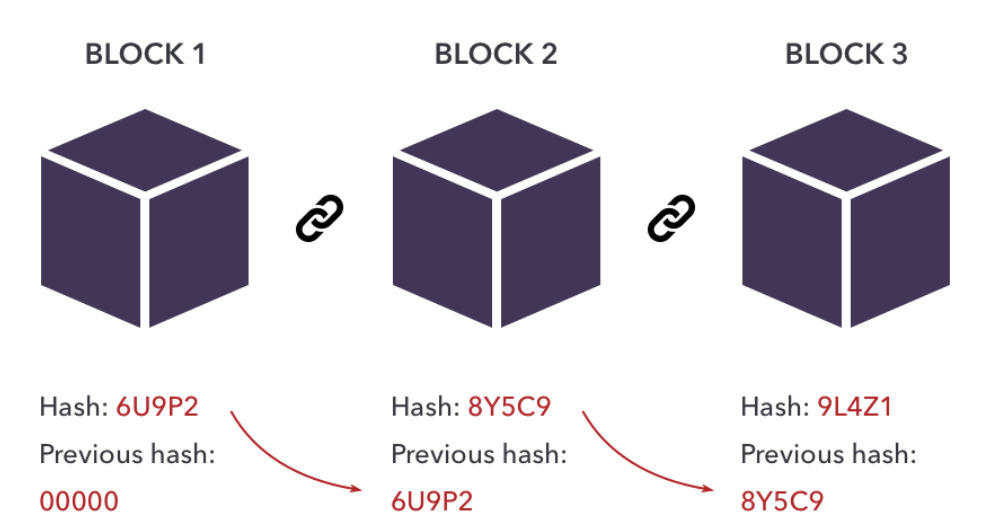 The structure of blocks.