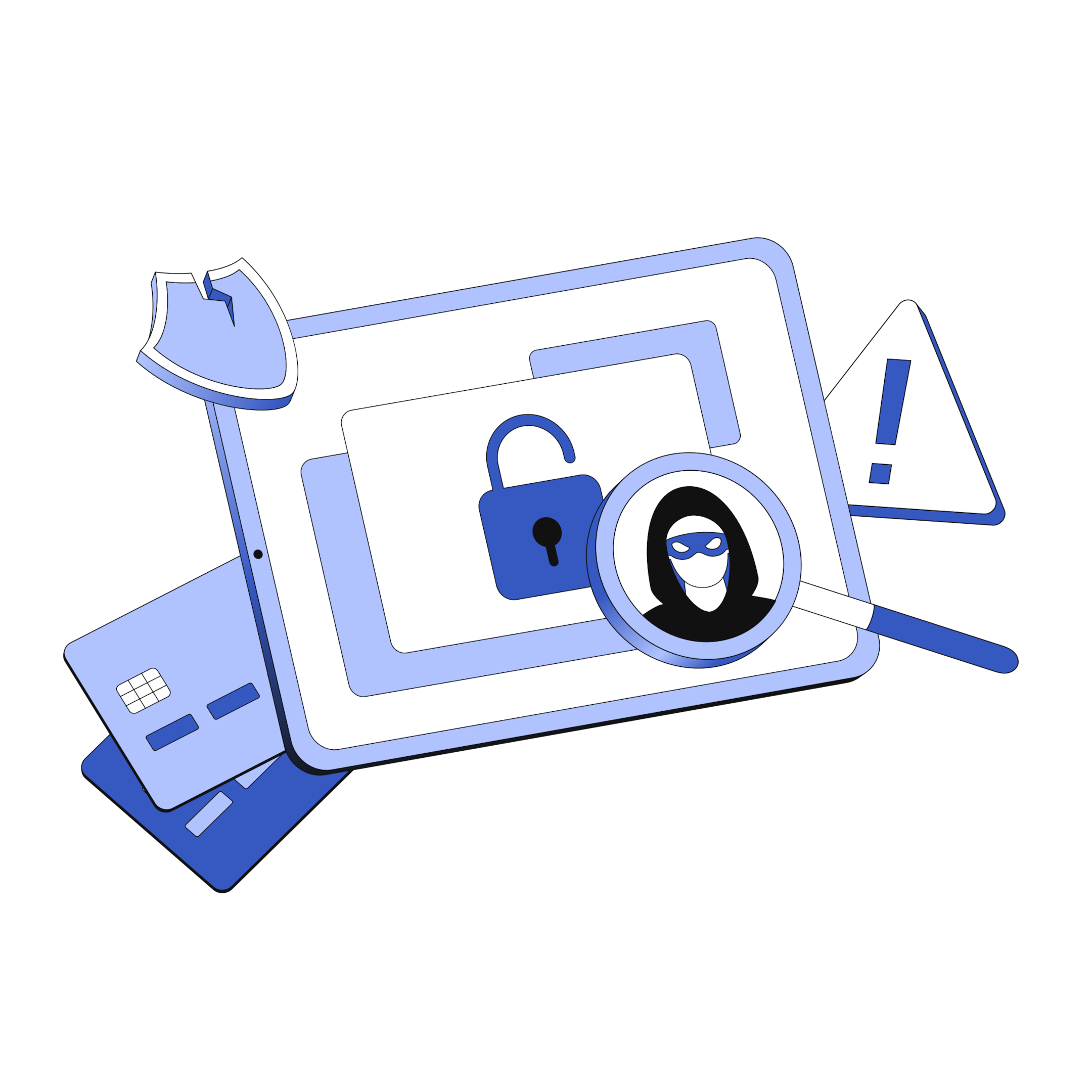 Fraud Prevention and Risk Management