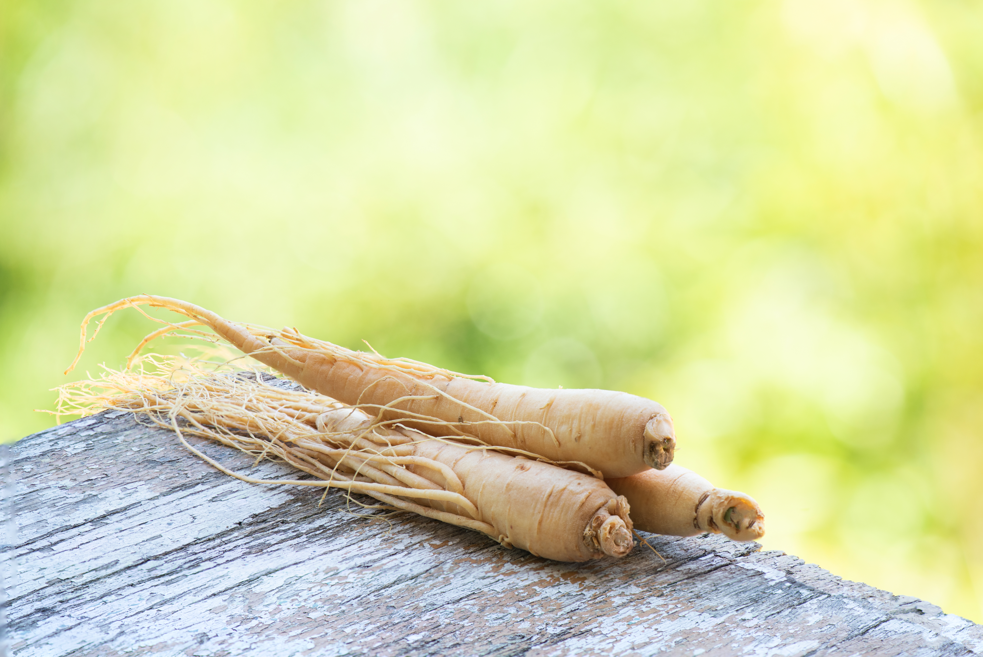 Ginseng er inkluderet i urtetilskuddet, der bruges til erektil dysfunktion.