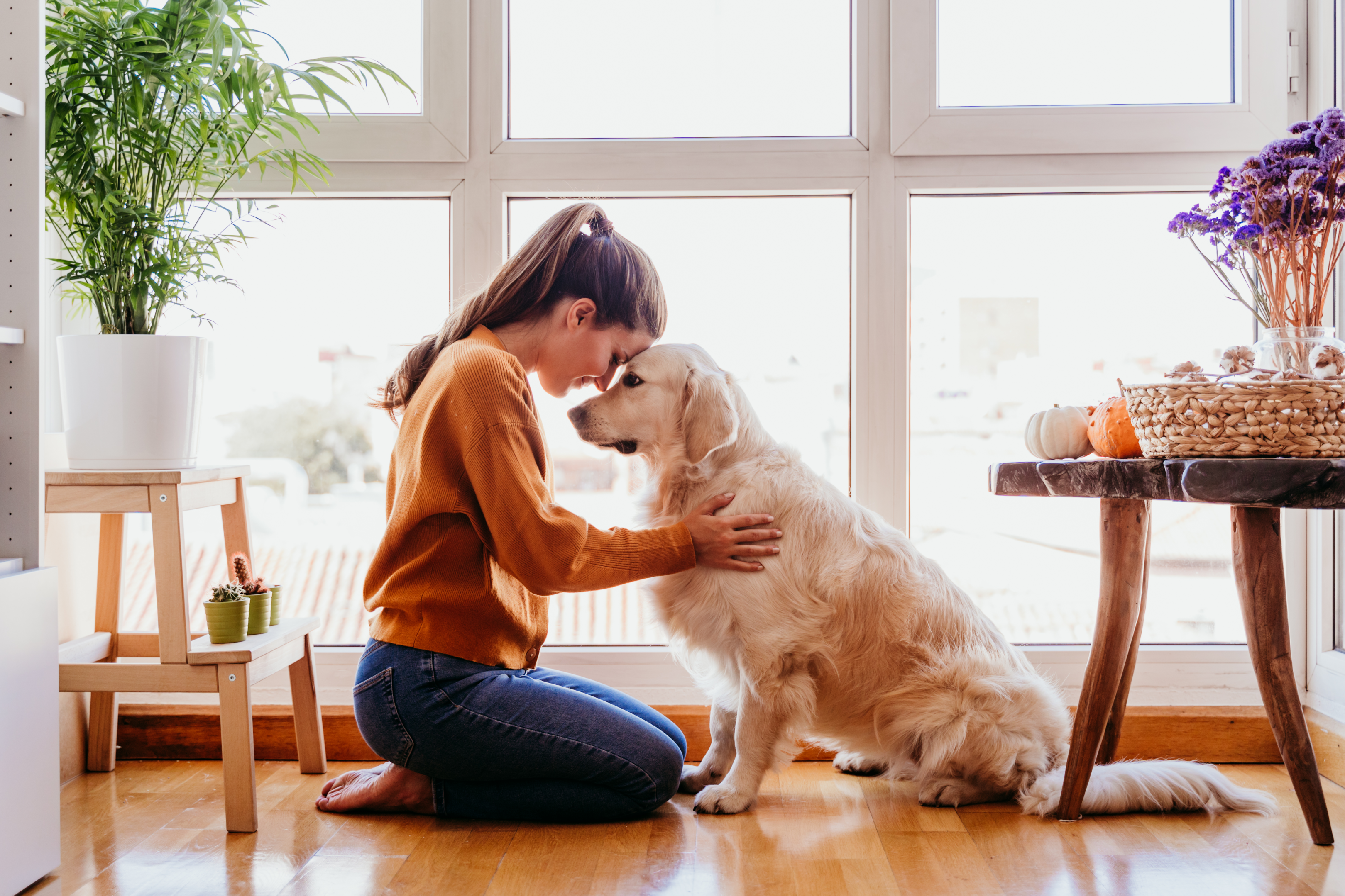 A landlord accepting pets as service animals and the pet owner being extremely happy. Keep in mind that landlords are not allowed to charge a separate pet deposit if it is a service animal in the rental properties. 