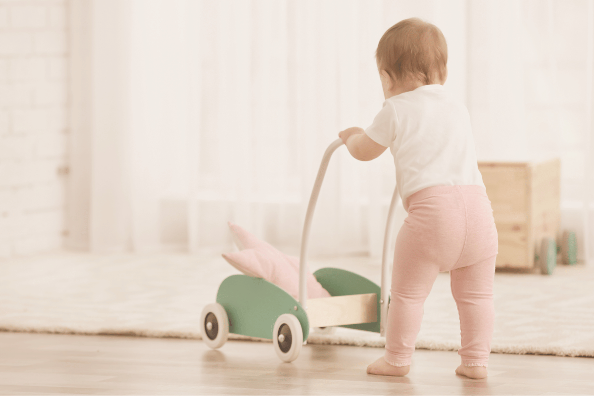 Choose a Baby Walker