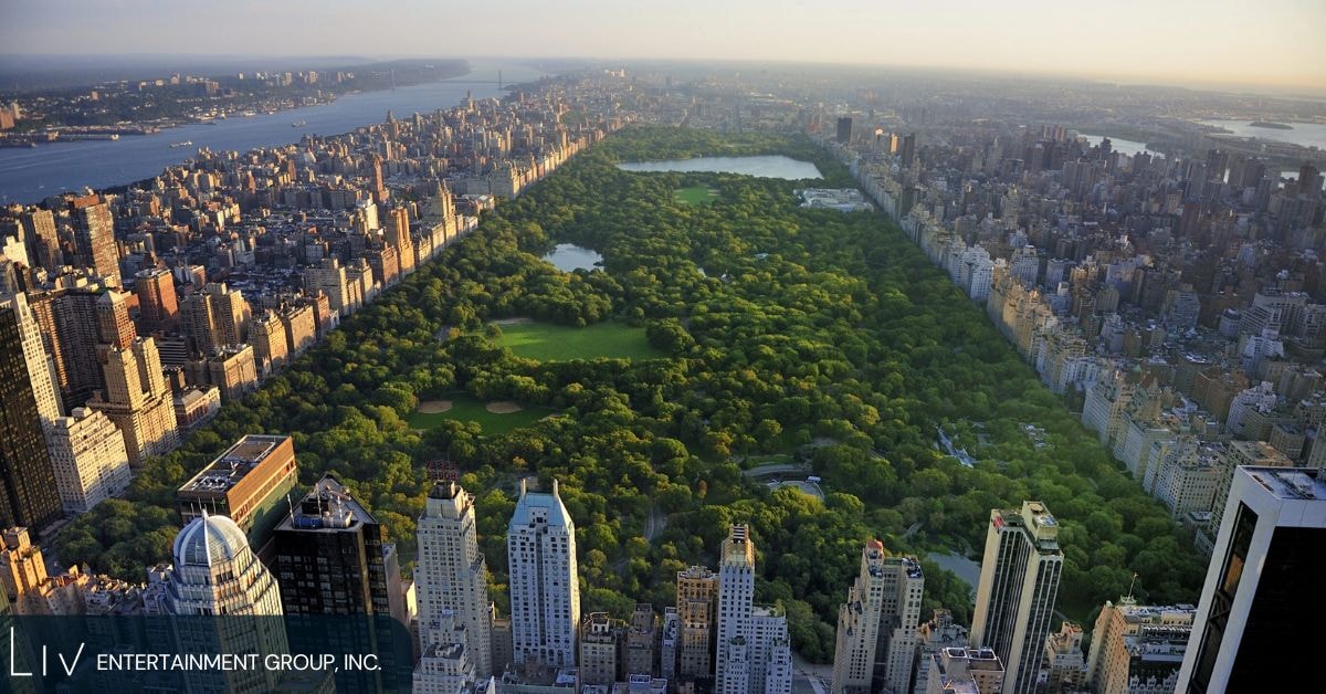 What Drives These High Prices?