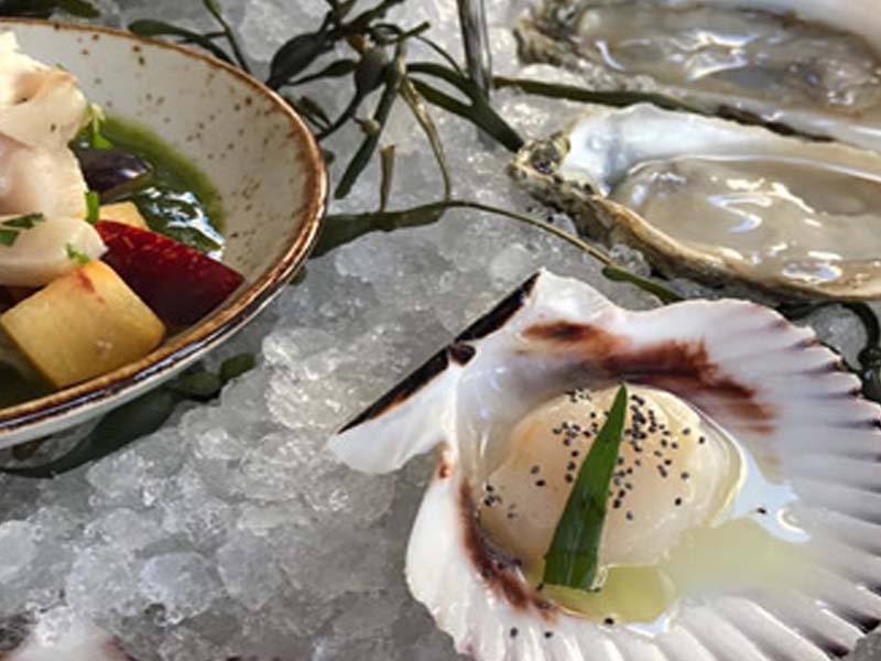 Image showcasing White Stone Oysters as the ultimate choice for any meal.