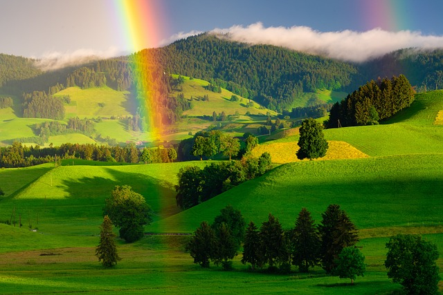 rainbow, hills, trees