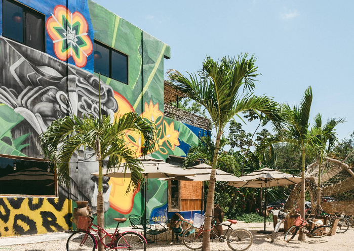 Digital Jungle in Tulum, a great place to co-work