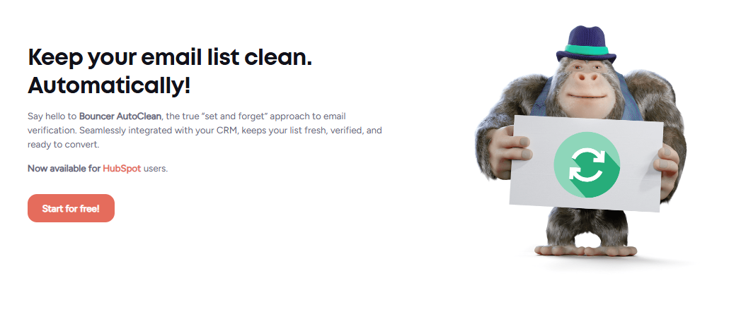 Bouncer AutoClean detailed breakdown