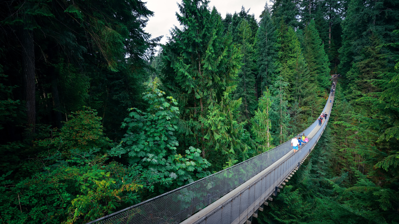 Capilano Suspension Bridge - Picture by rabbit75_ist https://www.canva.com/photos/MADCePg__Mg/