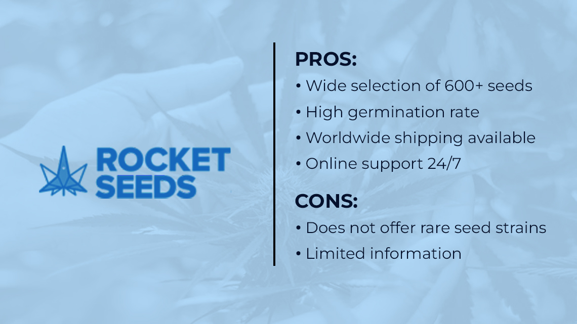 rocket seeds bank