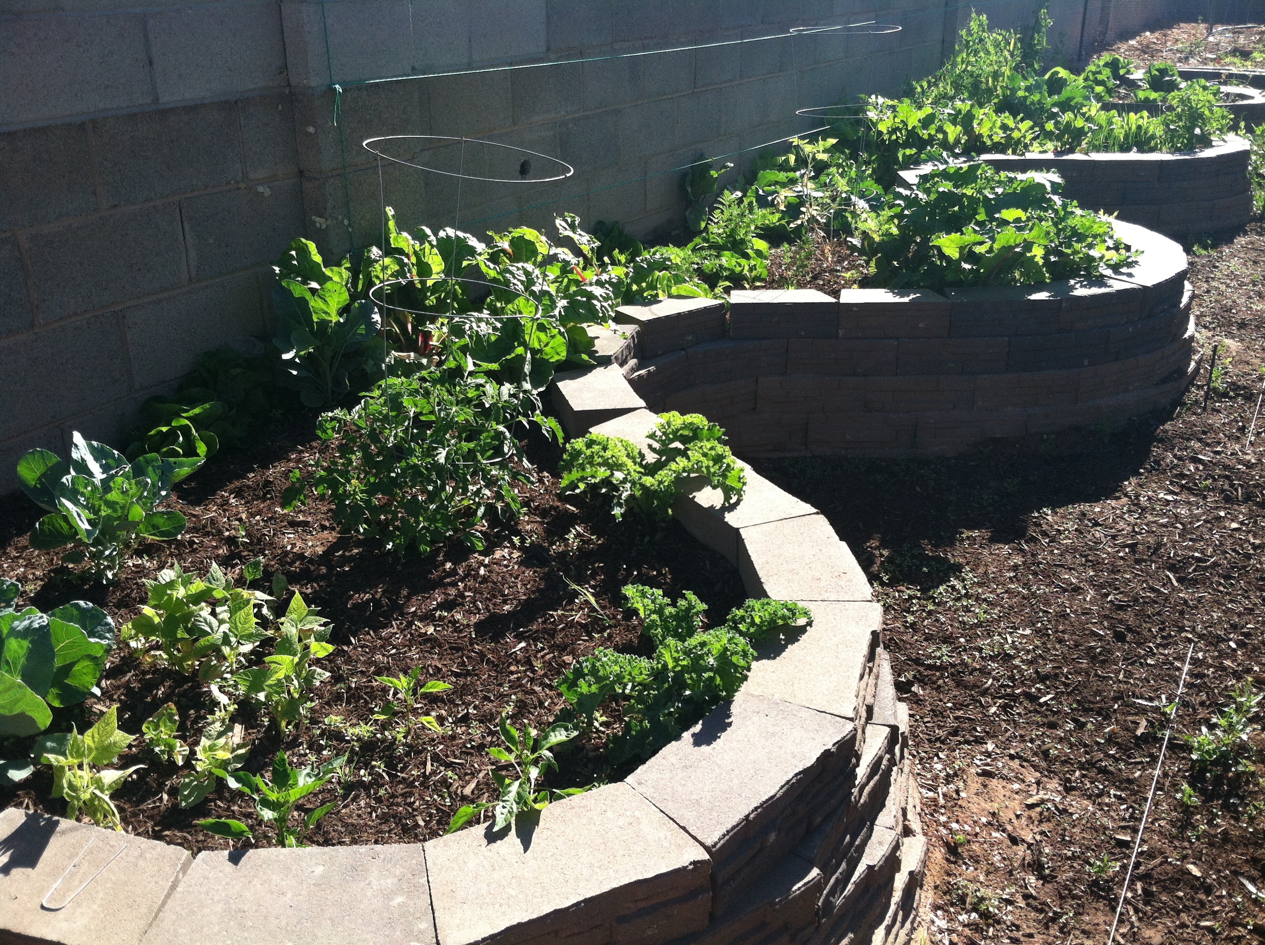 space for vegetable crops space for vegetable crops