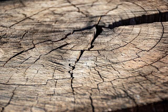 cracked wood