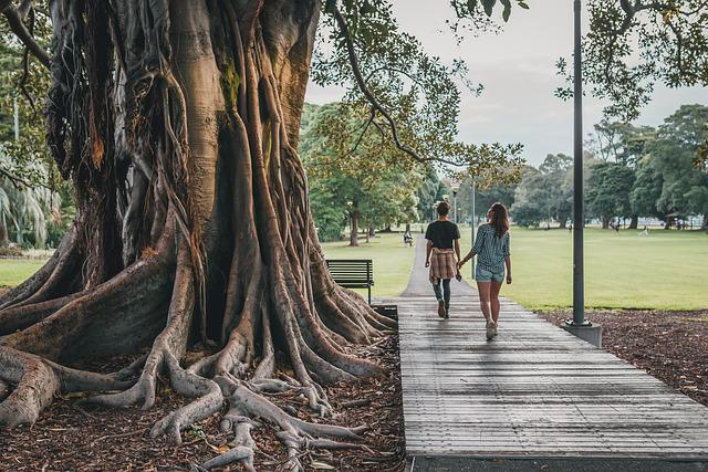 Budget Travel, tree, park, nature