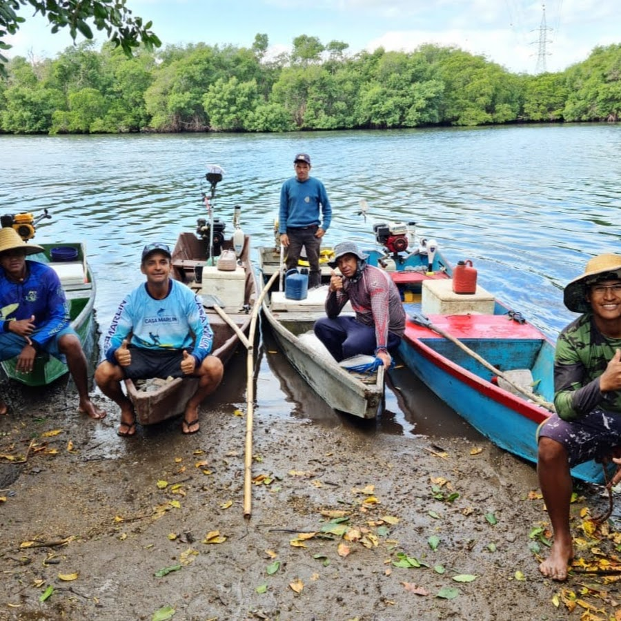 Ayahuasca trip