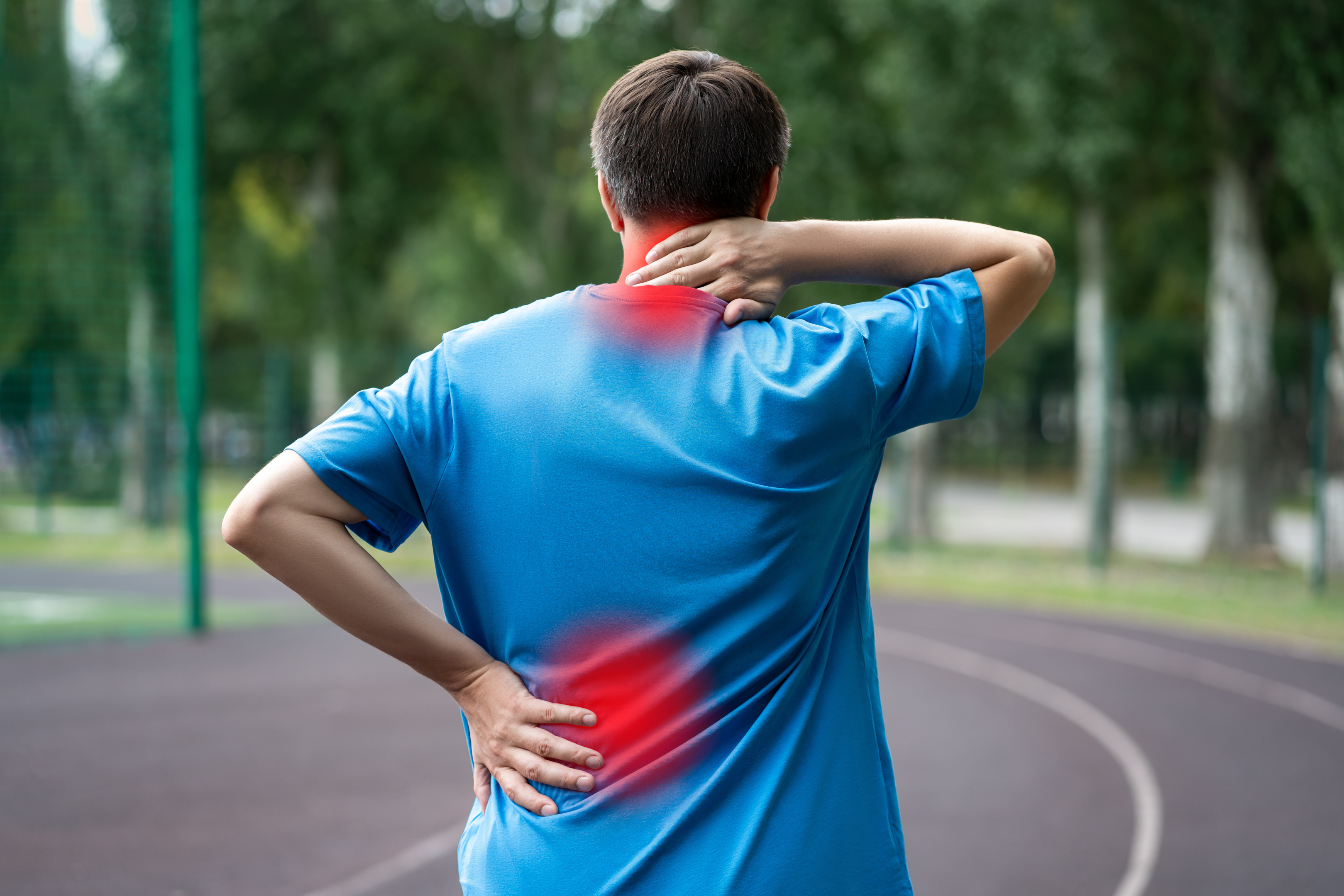 sistema neuro esquelético