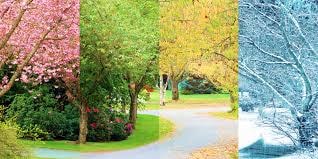 A picture with four vertical frames in it showing Ontario's four different seasons.