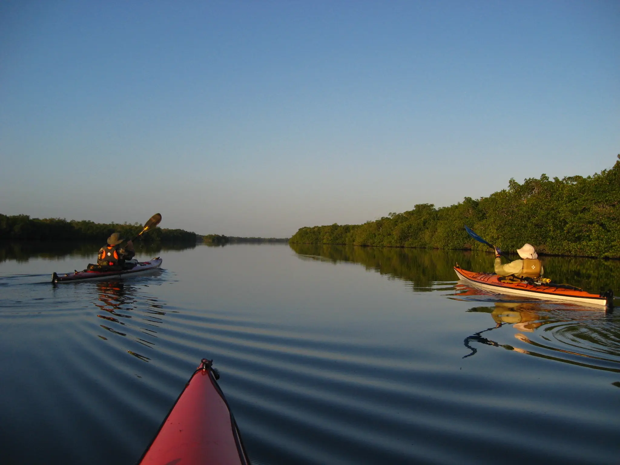 Kayaking in Everglades City