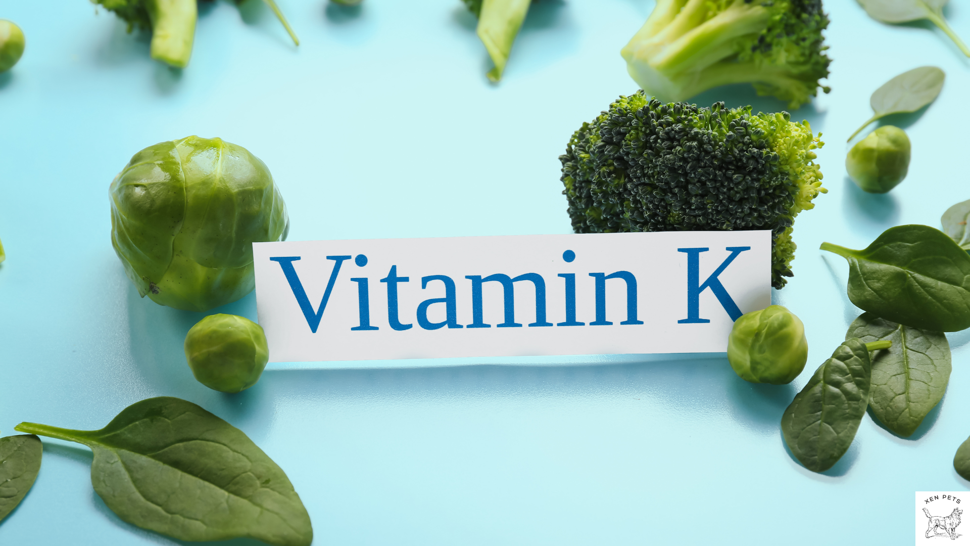 Vitamin K found in broccoli and spinach
