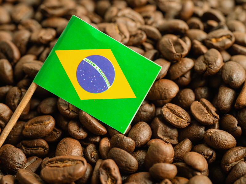 Bandeira do Brasil em grãos de café. Imagem: sasirin pamai's Images - Canva. 